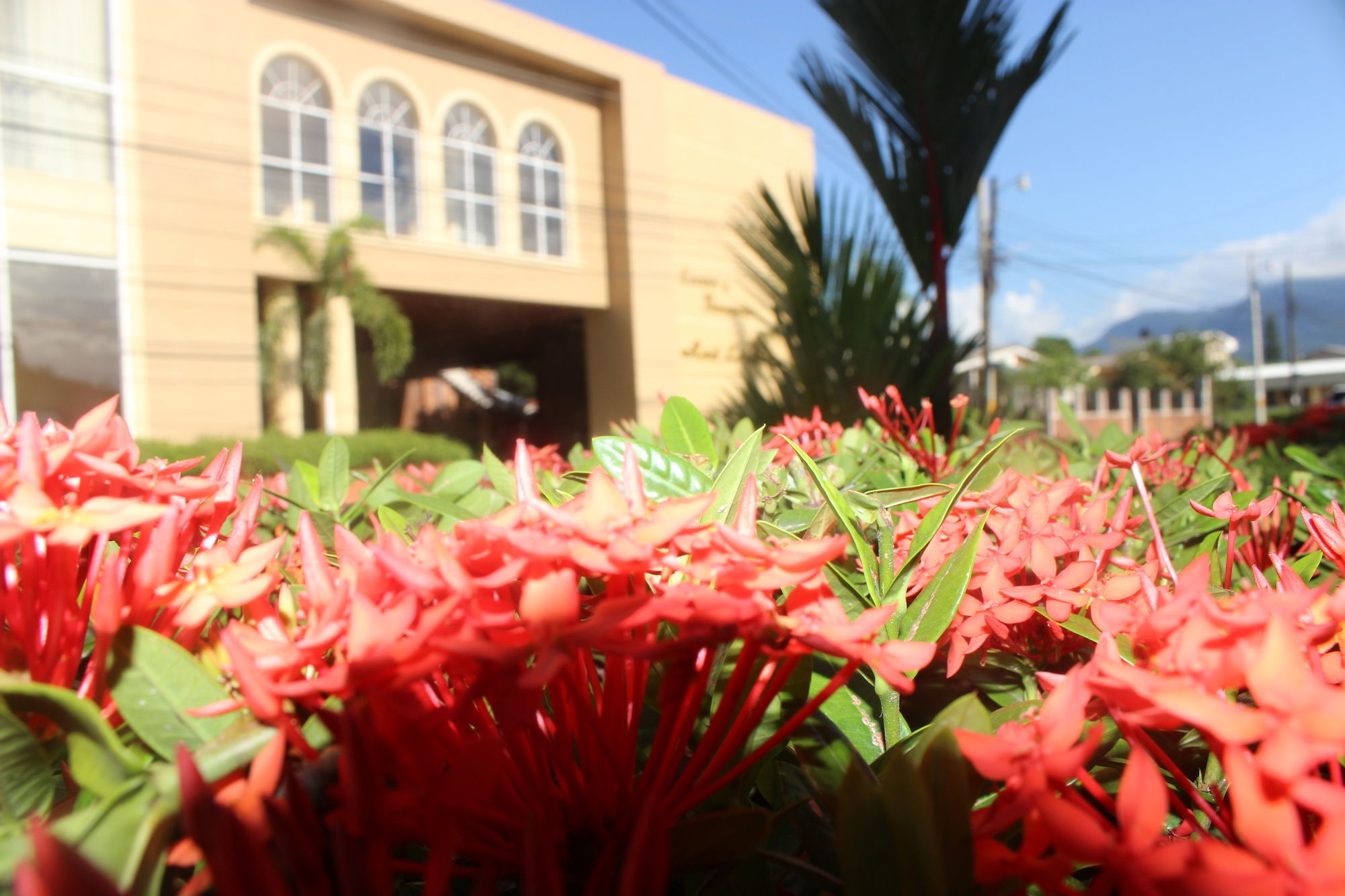 Hotel La Quinta La Ceiba Dış mekan fotoğraf