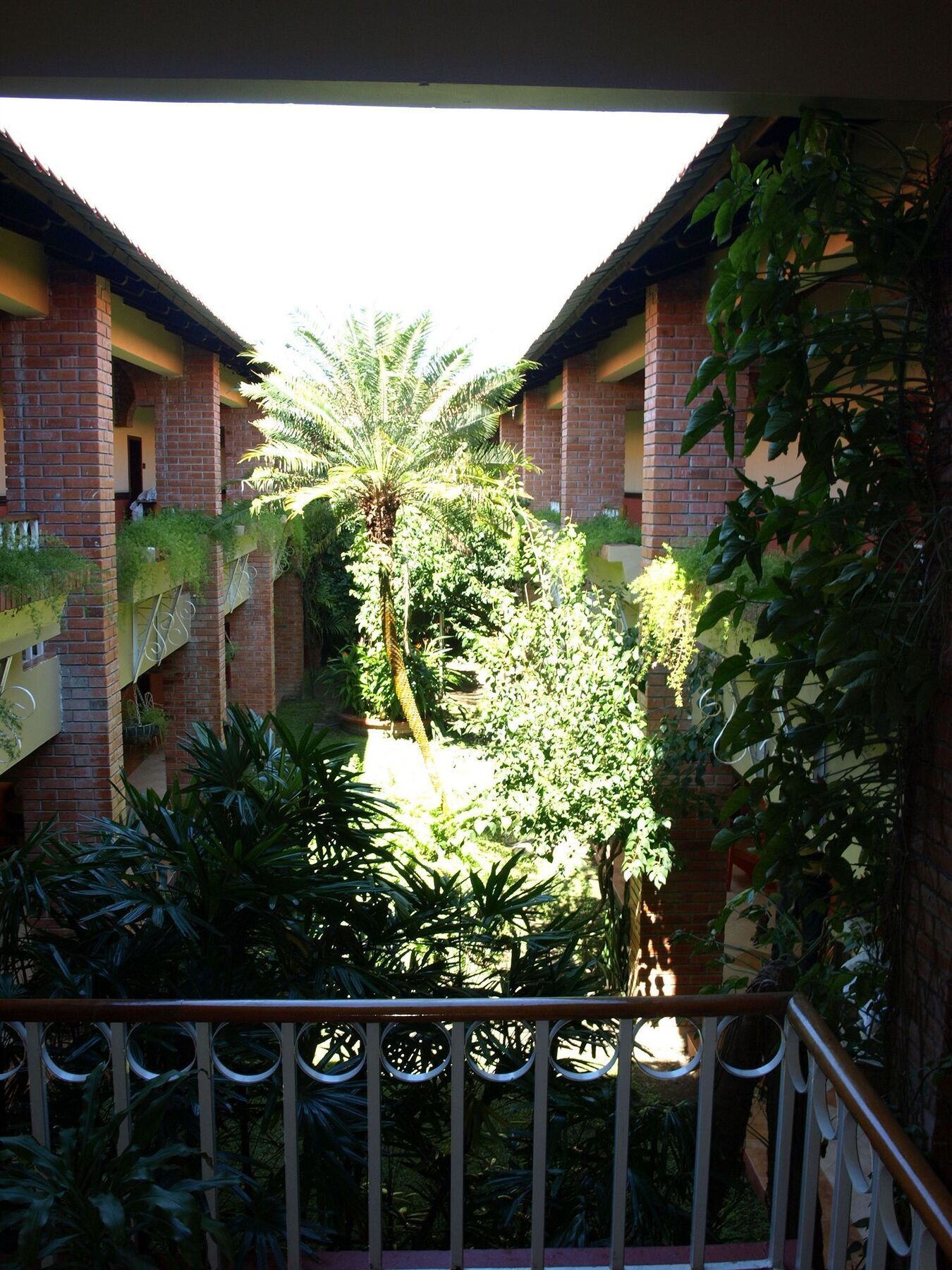 Hotel La Quinta La Ceiba Dış mekan fotoğraf